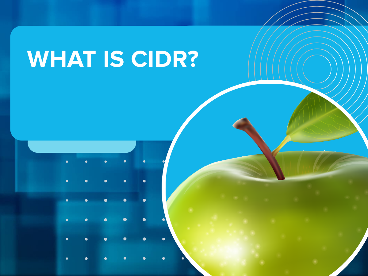 Ip Address Cidr Format